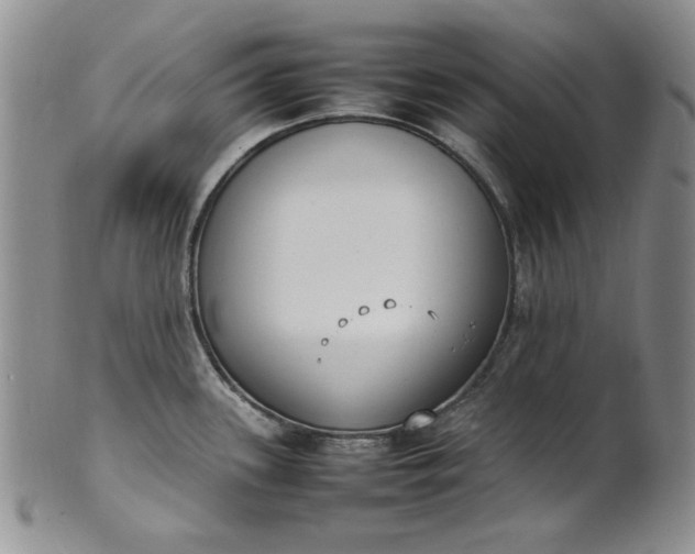 X0000100981339200807081234