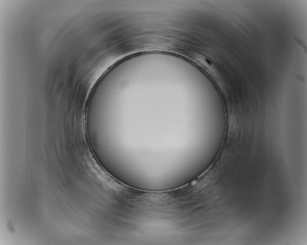 X0000100981340200807081234