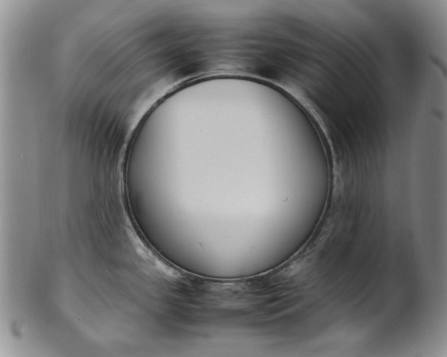 X0000100981341200807081234