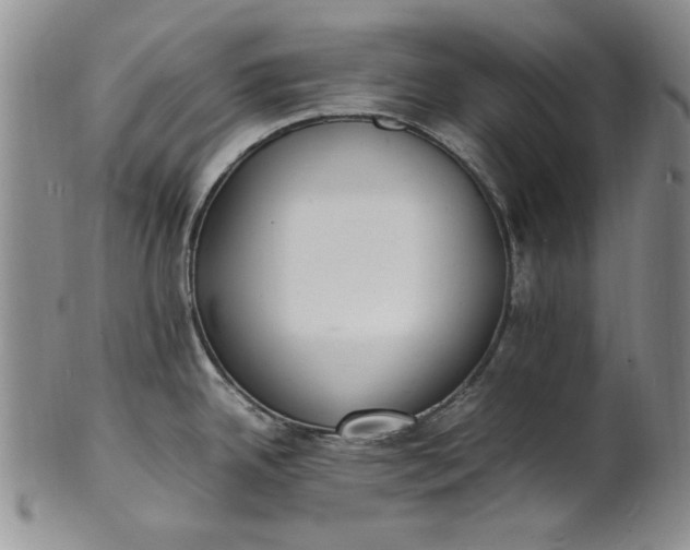 X0000100981342200807081234