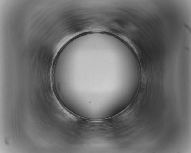 X0000100981343200807081234