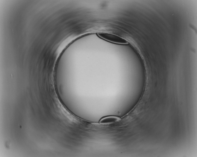 X0000100981344200807081234