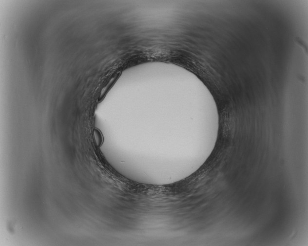 X0000100981345200807081234