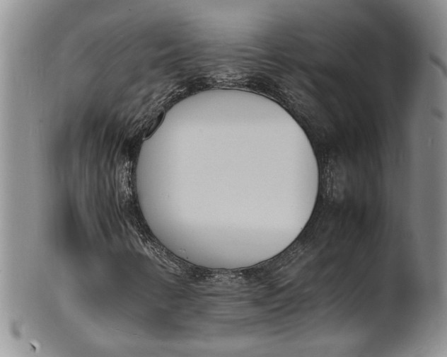 X0000100981346200807081234