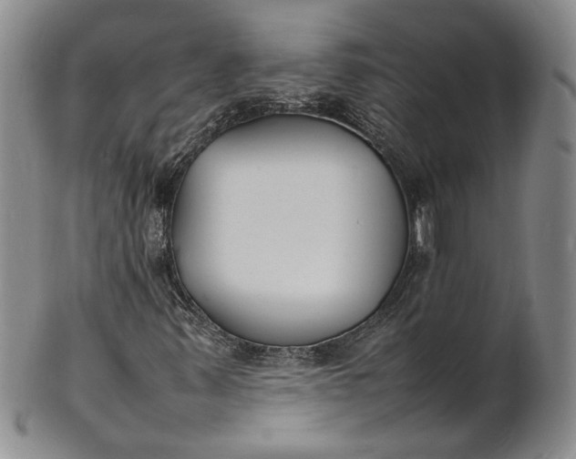 X0000100981347200807081234