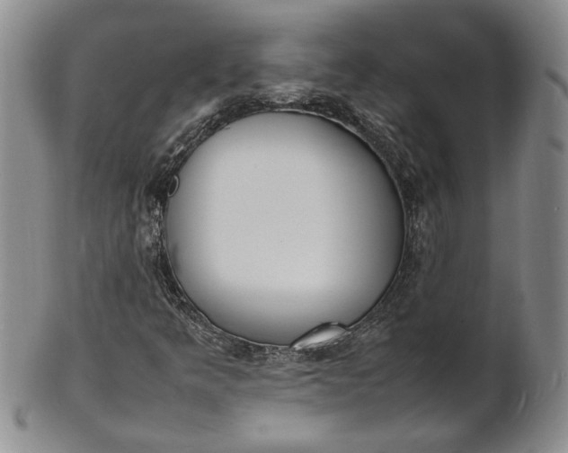 X0000100981349200807081234