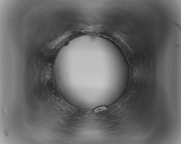 X0000100981350200807081234