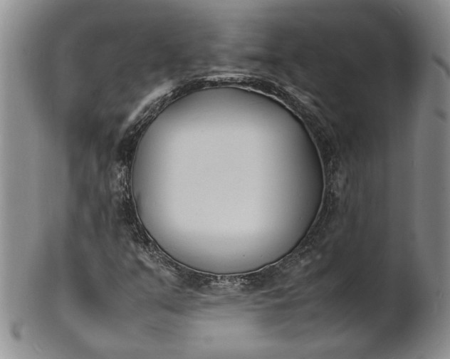 X0000100981351200807081234