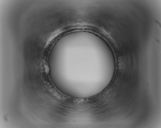 X0000100981352200807081234