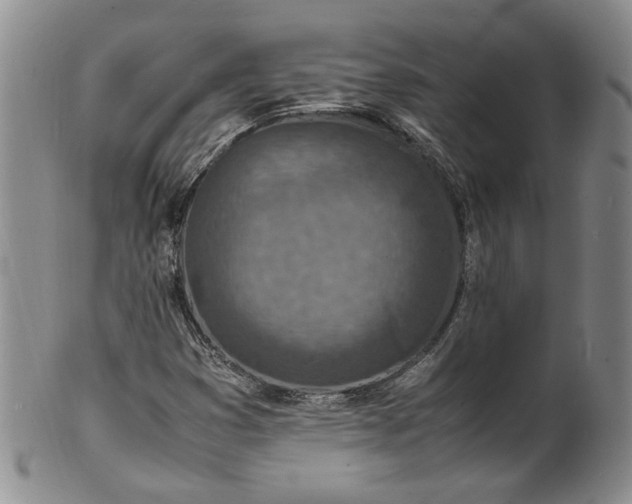 X0000100981353200807081233