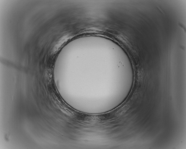 X0000100981355200807081233