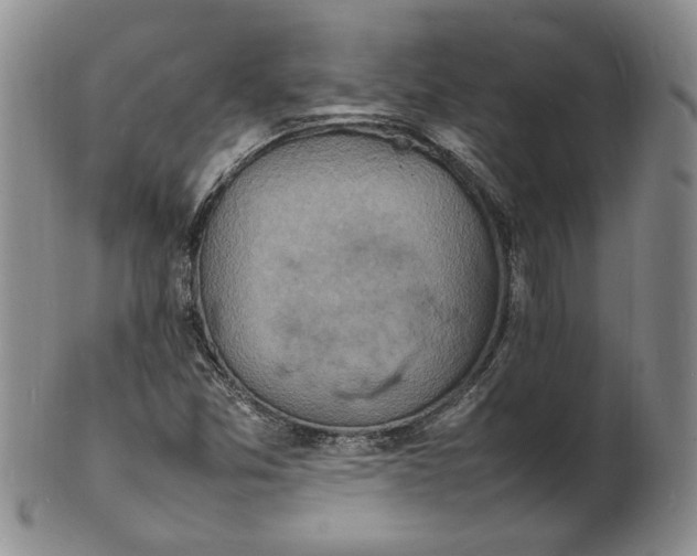 X0000100981357200807081233