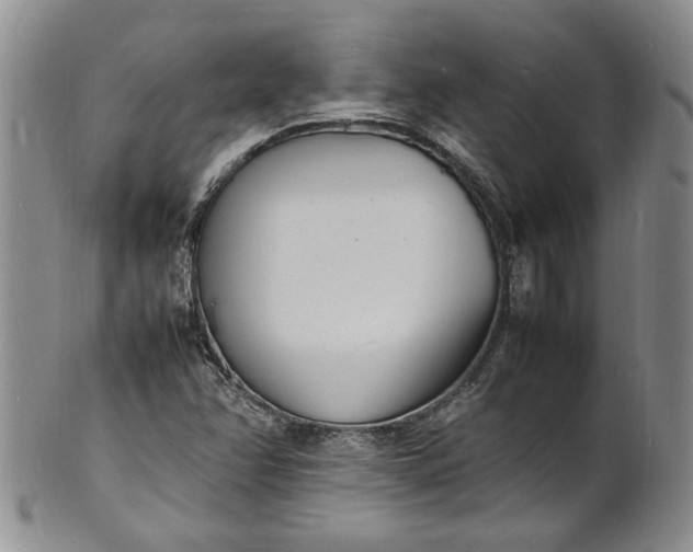 X0000100981358200807081233