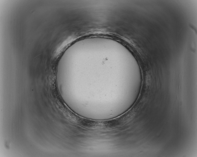 X0000100981359200807081233