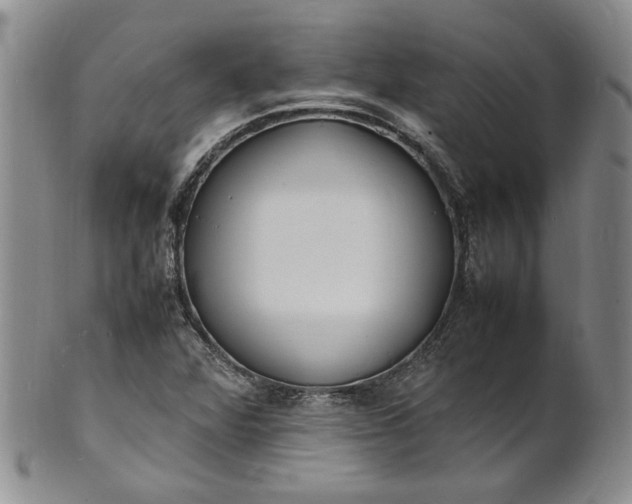 X0000100981360200807081233