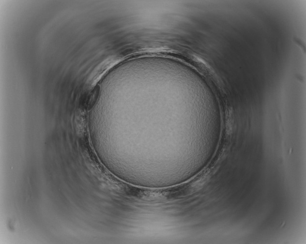 X0000100981361200807081233