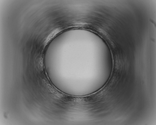 X0000100981362200807081233