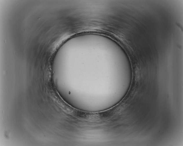 X0000100981363200807081233