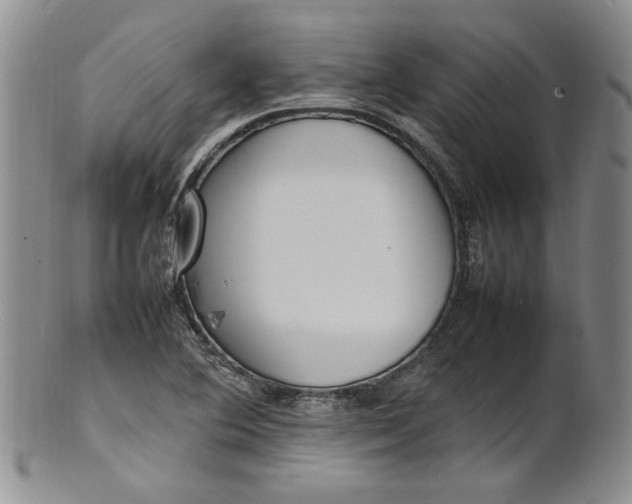 X0000100981364200807081233