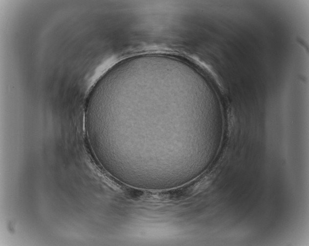 X0000100981365200807081233