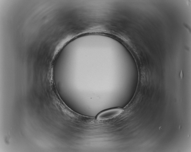 X0000100981366200807081233