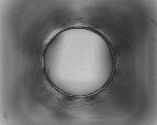 X0000100981367200807081233