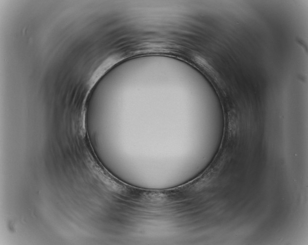 X0000100981370200807081233