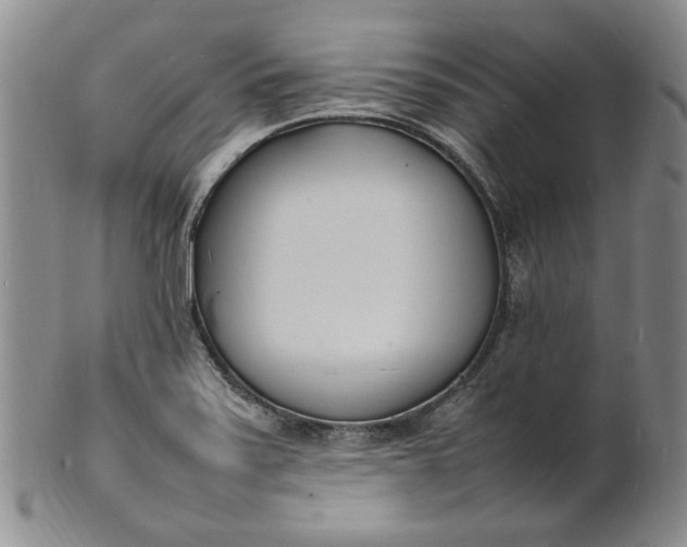 X0000100981371200807081233