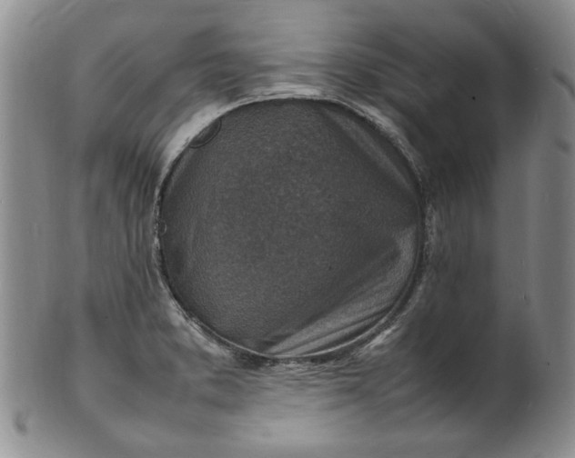 X0000100981373200807081233