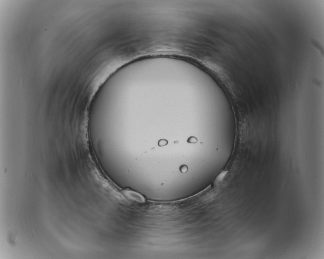 X0000100981374200807081233