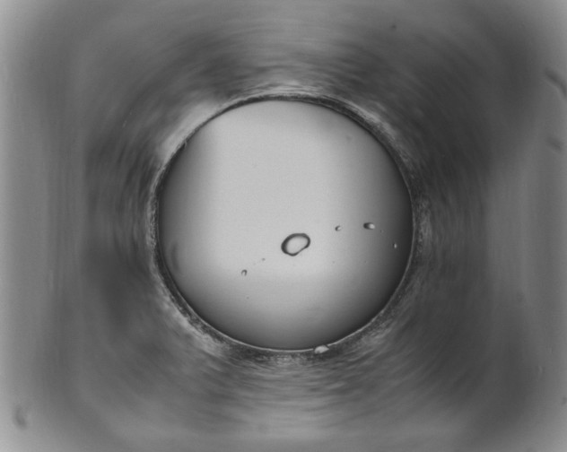 X0000100981375200807081233