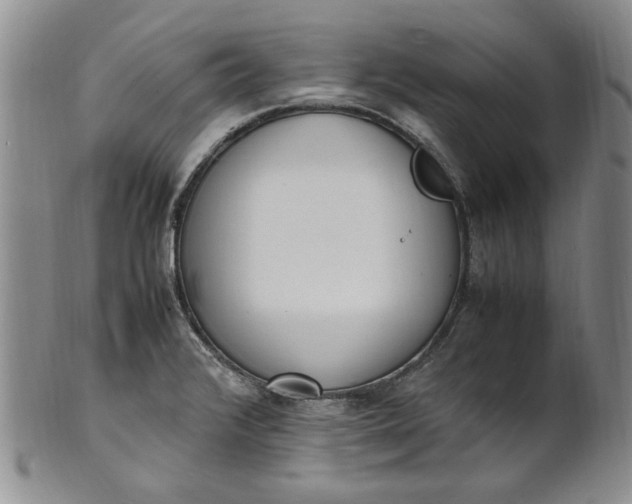 X0000100981376200807081233