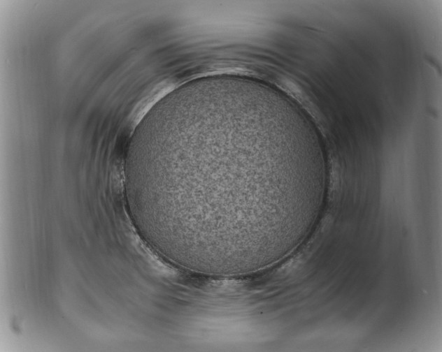 X0000100981377200807081233