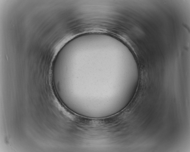 X0000100981379200807081233