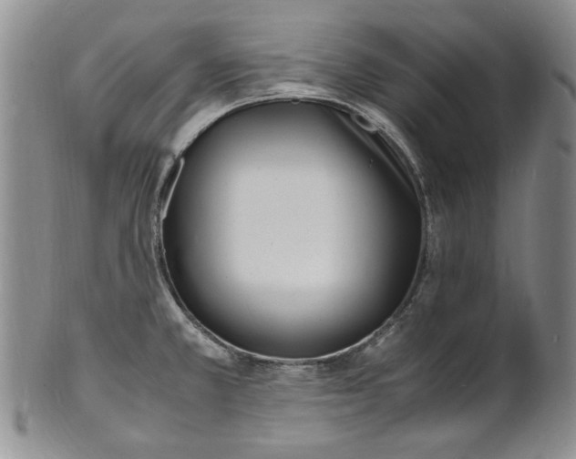 X0000100981381200807081233