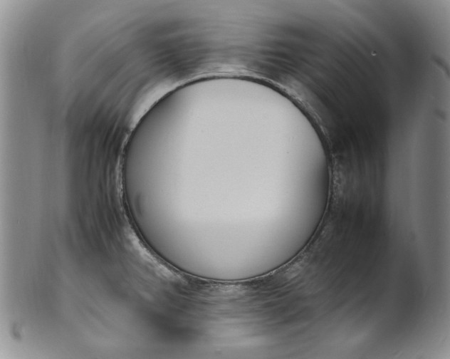 X0000100981382200807081233