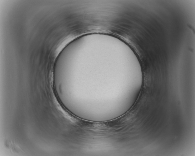 X0000100981383200807081233