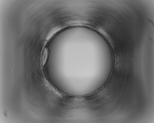 X0000100981384200807081233