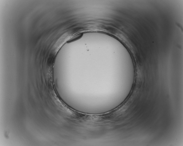 X0000100981385200807081233