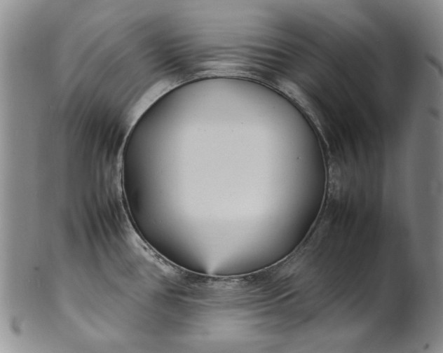 X0000100981386200807081233