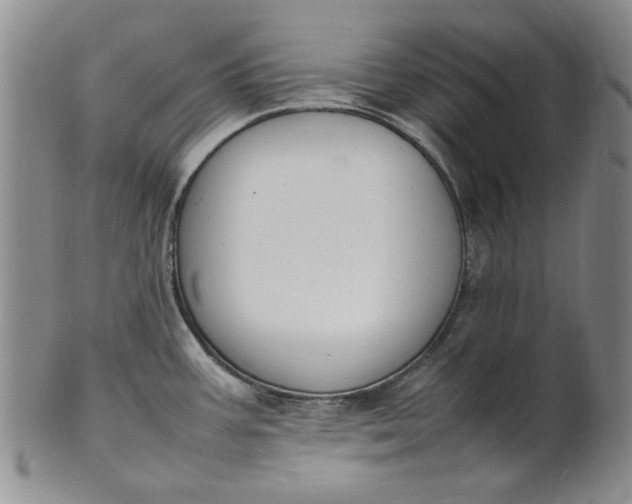 X0000100981387200807081233