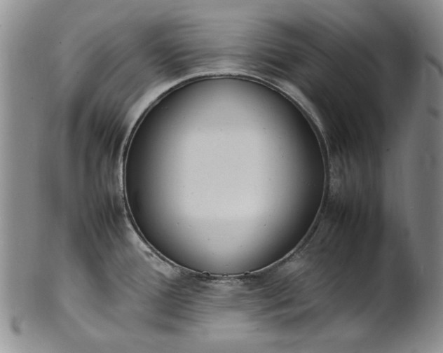 X0000100981388200807081233