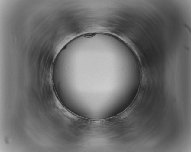 X0000100981390200807081233