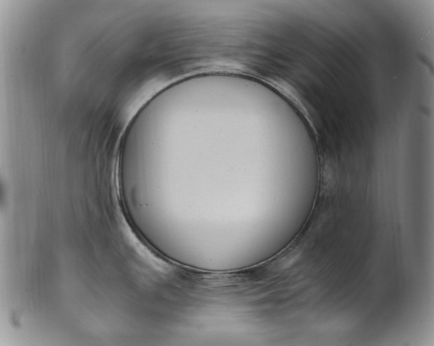 X0000100981391200807081233