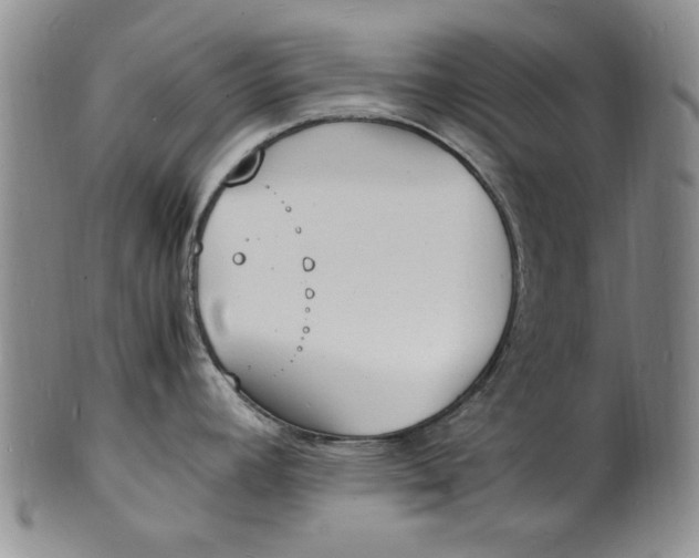 X0000100981392200807081233