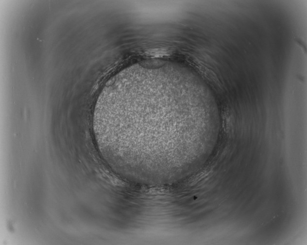 X0000100981393200807081232