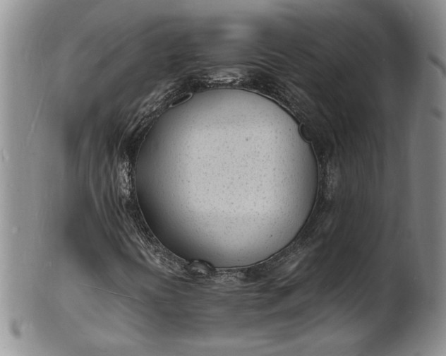 X0000100981394200807081232