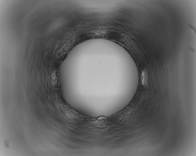 X0000100981395200807081232