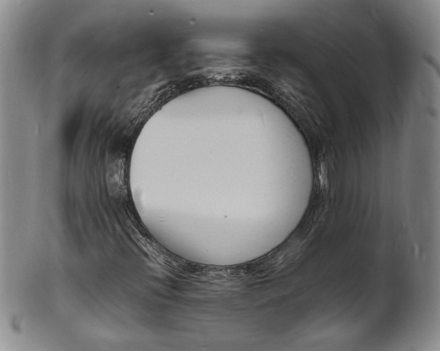 X0000100981396200807081232