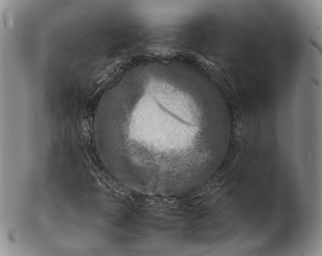 X0000100981397200807081232